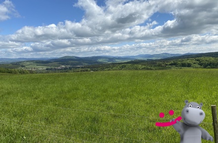 Prodej louky 5 517 m², Podkopná Lhota