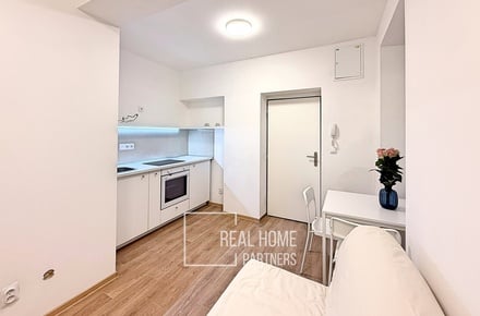 Pronájem bytu 1+kk 17 m², Brno