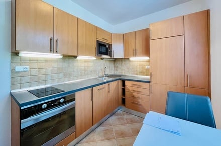 Pronájem bytu 2+1 53 m², Brno - Černá Pole