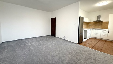 Prodej bytu 1+1 35 m², Havířov