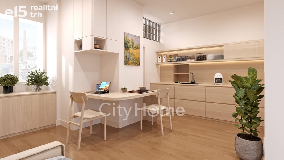 Prodej bytu 1+kk 22 m², Praha - Karlín