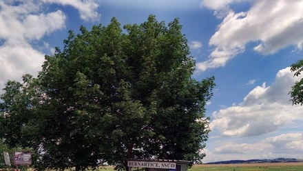 Prodej komerčního pozemku 12 230 m², Bernartice