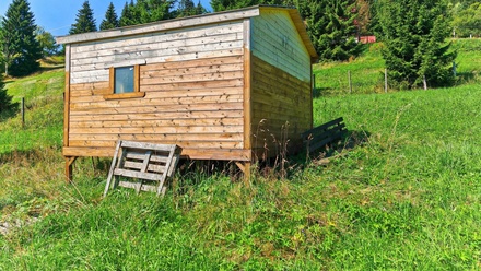 Prodej louky 2 445 m², Malá Úpa