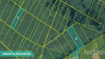 Prodej pole 4 195 m², Záblatí