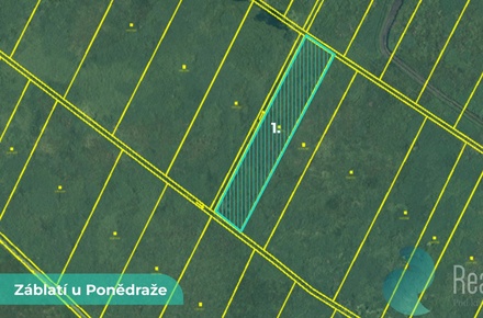 Prodej pole 4 195 m², Záblatí