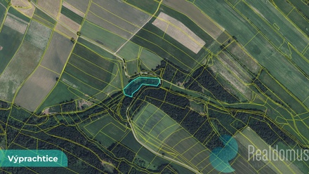 Prodej louky 6 838 m², Výprachtice