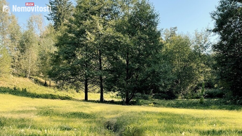 Prodej louky 6 838 m², Výprachtice