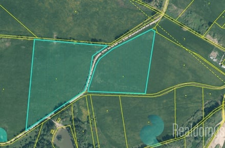 Prodej louky 12 559 m², Drmoul