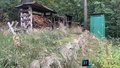 Prodej chaty 30 m², Doubravčice