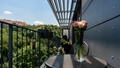 Prodej bytu 3+kk 116 m², Praha - Košíře