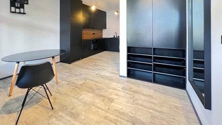 Pronájem bytu 1+1 55 m², Ostrava - Moravská Ostrava a Přívoz