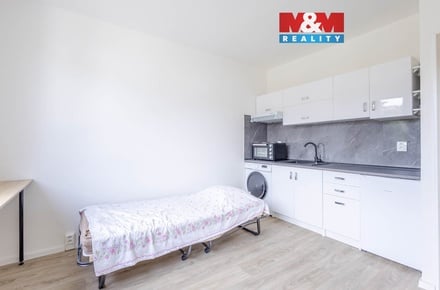 Pronájem bytu 1+kk 20 m², Děčín