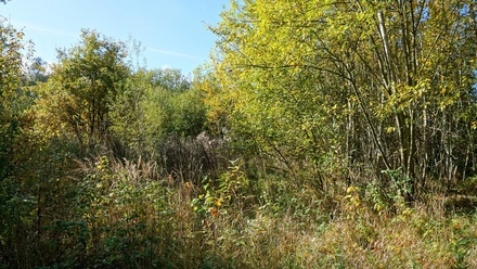 Prodej stavebního pozemku 3 689 m², Třebeň