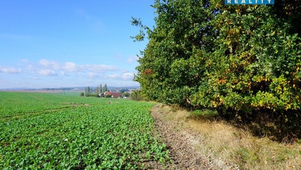 Prodej stavebního pozemku 3 689 m², Třebeň