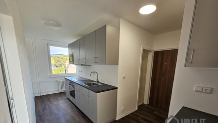 Pronájem bytu 3+1 65 m², Liberec XIV-Ruprechtice