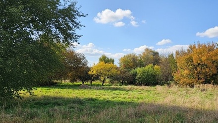 Prodej stavebního pozemku 3 213 m², Uhlířská Lhota