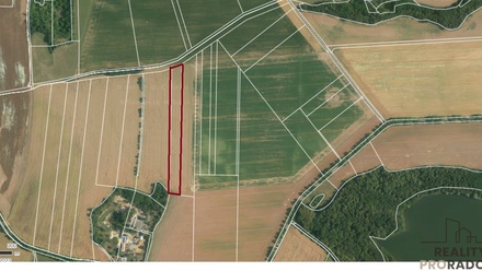 Prodej pole 10 902 m², Miskovice - Bylany u Kutné Hory