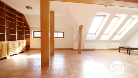 Pronájem bytu s 6 a více pokoji 170 m², Praha - Žižkov