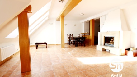 Pronájem bytu s 6 a více pokoji 170 m², Praha - Žižkov