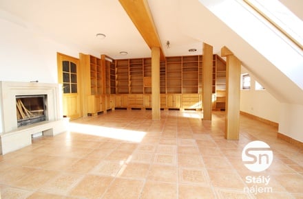 Pronájem bytu s 6 a více pokoji 170 m², Praha - Žižkov