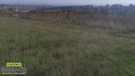 Prodej sadu / vinice 4 846 m², Ořechov