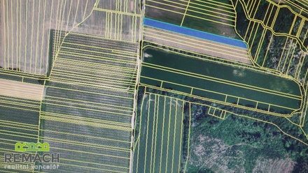 Prodej sadu / vinice 4 846 m², Ořechov