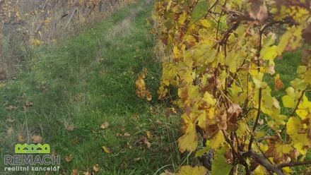 Prodej sadu / vinice 4 846 m², Ořechov
