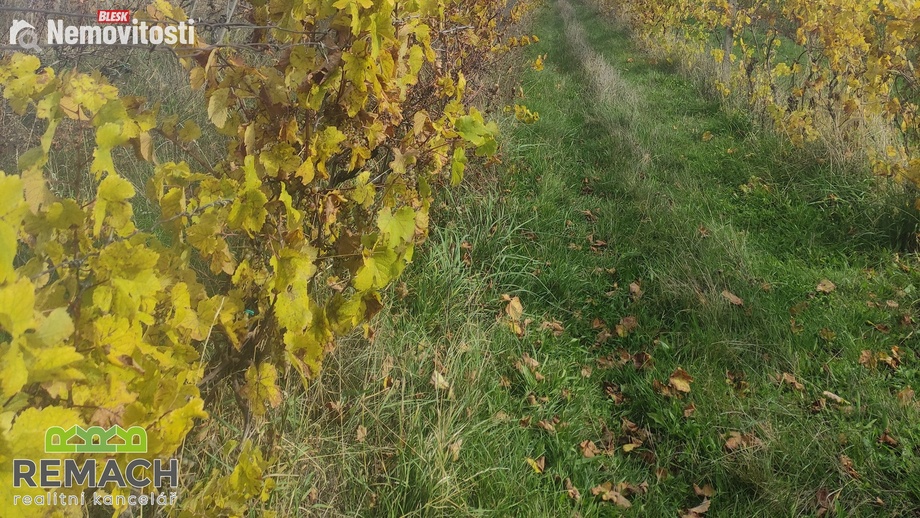 Prodej sadu / vinice 4 846 m², Ořechov