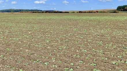 Prodej pole 26 969 m², Dolní Roveň