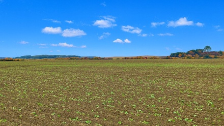 Prodej pole 7 125 m², Dolní Roveň