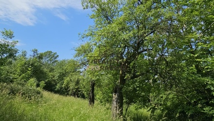 Prodej specifického pozemku 4 253 m², Koryčany