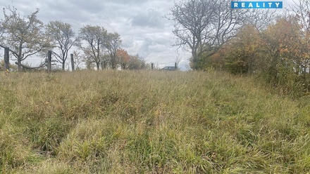 Prodej stavebního pozemku 2 229 m², Habrovany