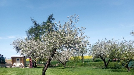 Prodej stavebního pozemku 774 m², Plužná