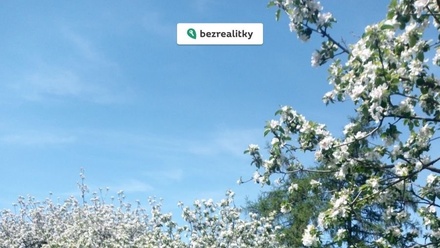 Prodej stavebního pozemku 774 m², Plužná