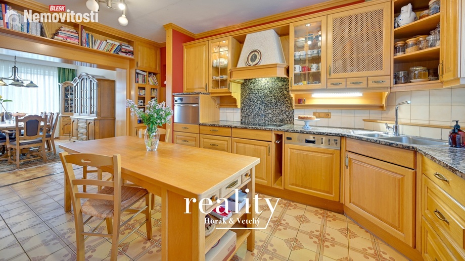 Prodej rodinného domu 480 m², Hodonice