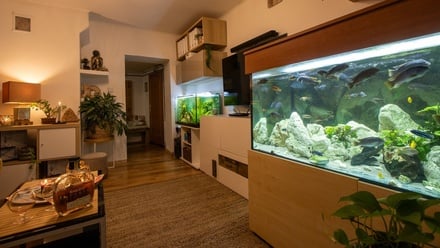 Prodej rodinného domu 124 m², Kroměříž - Vážany