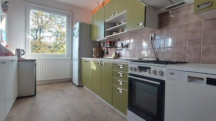 Pronájem rodinného domu 150 m², Raduň