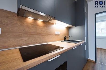 Pronájem bytu 4+kk 103 m², Brno - Žabovřesky