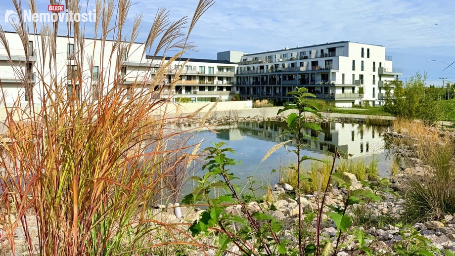 Pronájem kanceláře 45 m², Horoměřice