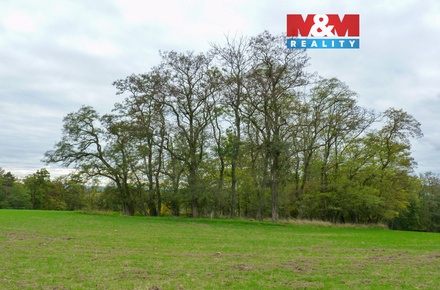 Prodej lesa 1 252 m², Drahobuz