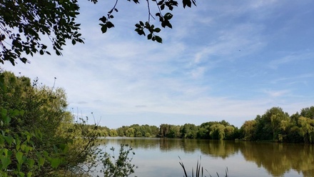 Prodej rybníku 93 966 m², Přehýšov