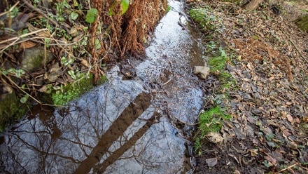 Prodej stavebního pozemku 1 644 m², Senohraby
