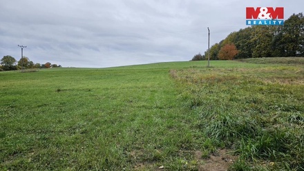 Prodej louky 7 881 m², Jedlí