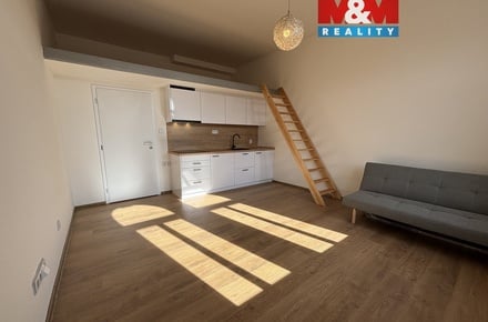 Pronájem bytu 1+kk 33 m², Plzeň 3
