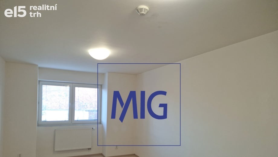 Pronájem bytu 1+kk 31 m², Syrovice