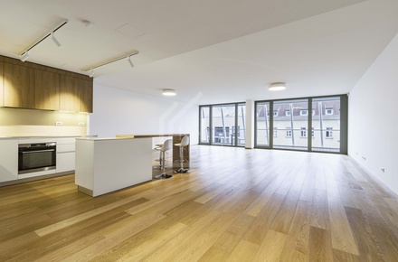 Pronájem bytu 4+kk 178 m², Praha 5