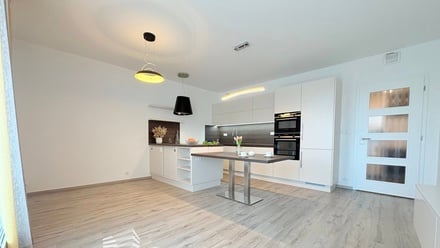 Pronájem bytu 3+kk 80 m², Plzeň - Jižní Předměstí