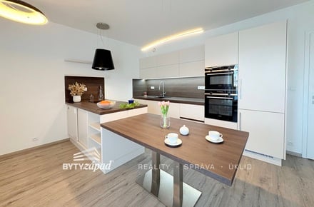 Pronájem bytu 3+kk 80 m², Plzeň - Jižní Předměstí