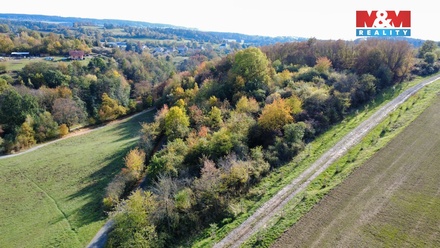 Prodej pole 4 731 m², Milešov