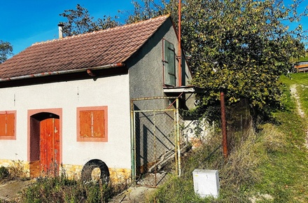 Prodej vinného sklepa 100 m², Velké Bílovice